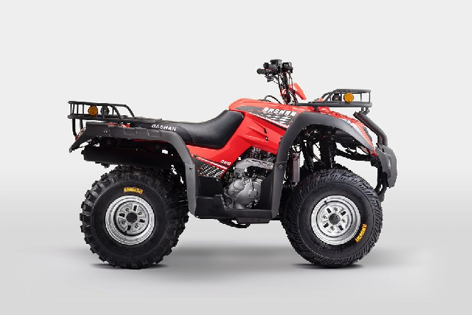 Квадроцикл FORTE ATV 250BS К PRO