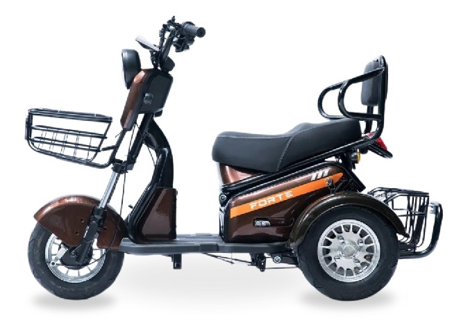Электротрицикл FORTE S1-WS600