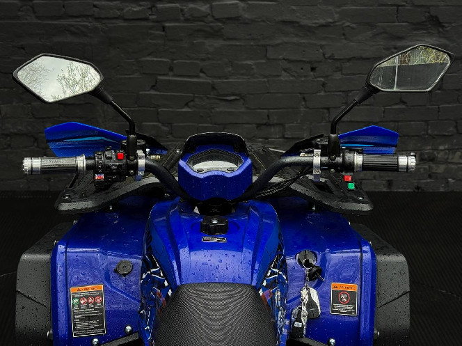 Электроквадроцикл FORTE FFP1500W