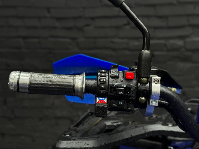Электроквадроцикл FORTE FFP1500W