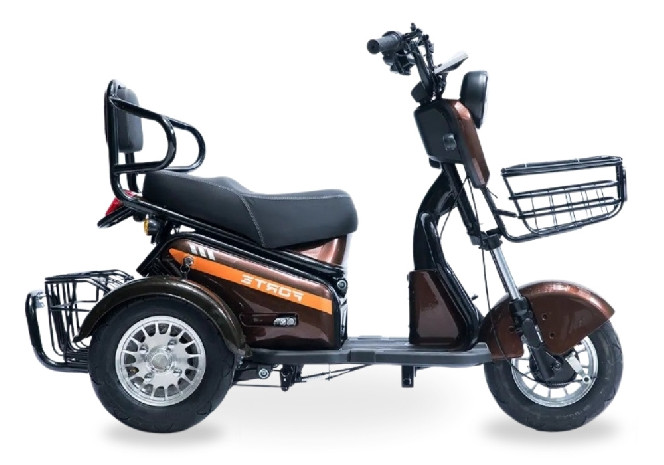 Электротрицикл FORTE S1-WS600