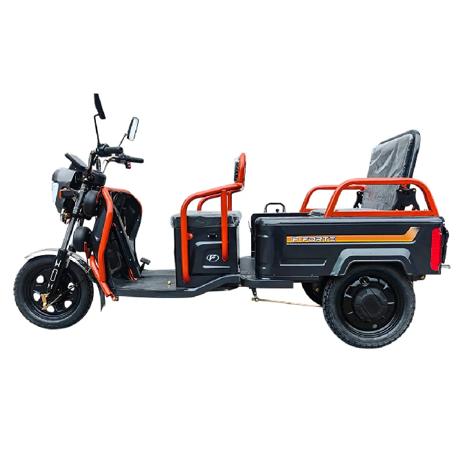 Електротрицикл вантажний FORTE GP-1000-P