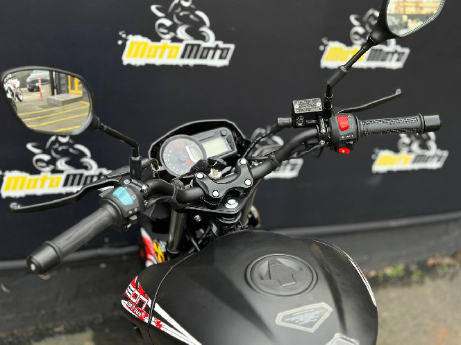Мотоцикл GEON PANTERA 200 (17/17)