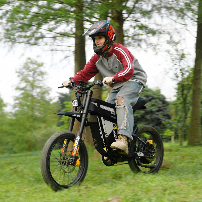 Електровелосипед COSWHEEL R6000