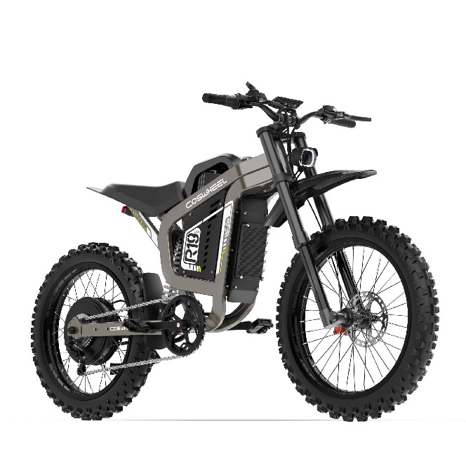 Електровелосипед COSWHEEL R19