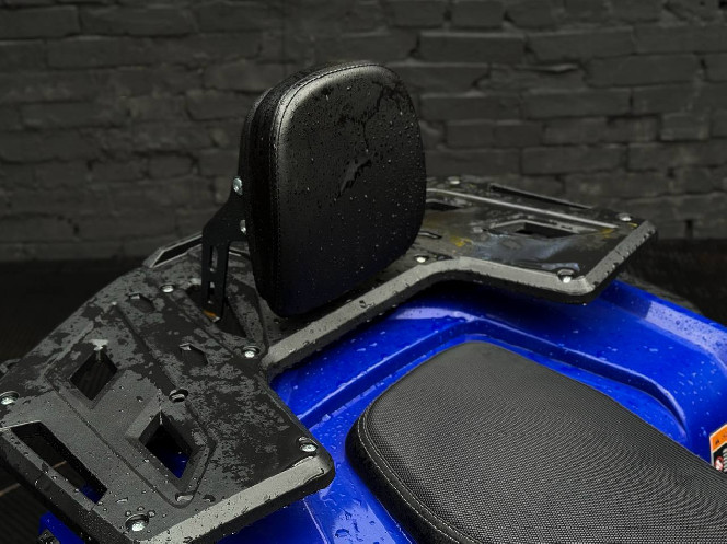 Электроквадроцикл FORTE FFP1500W