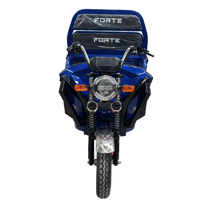 Электротрицикл вантажний FORTE JH-1200