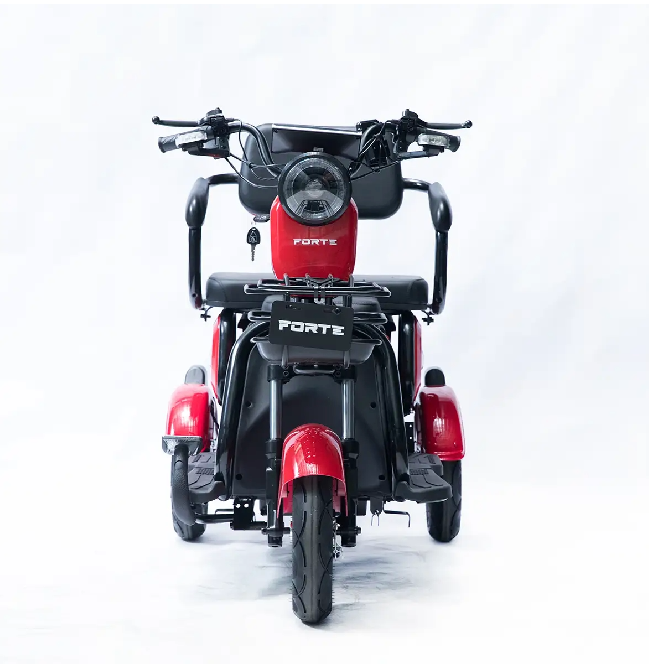 Электротрицикл FORTE FAMILY-P600