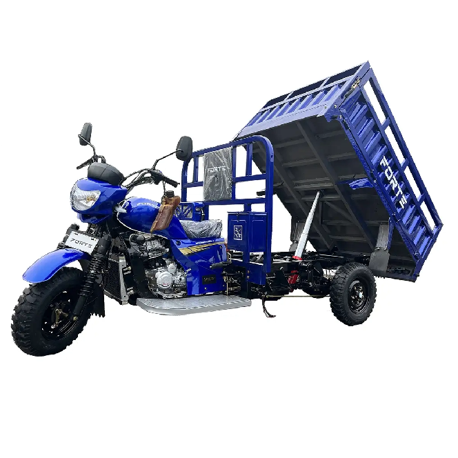 Трицикл грузовой FORTE CT-302H