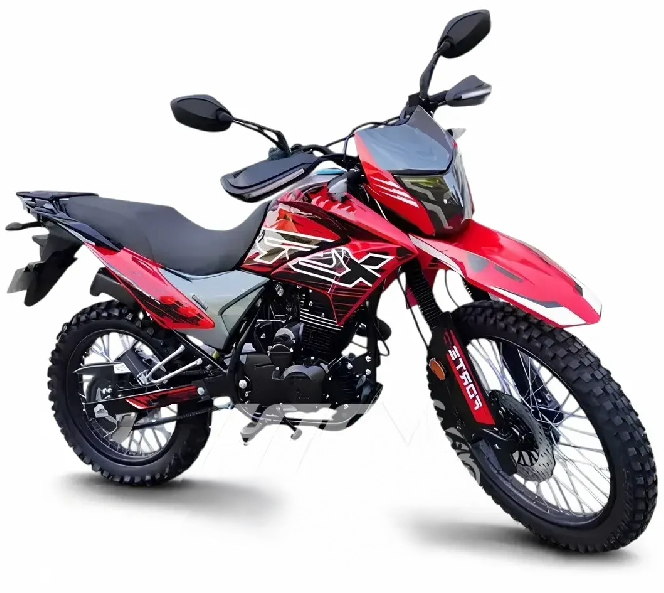 Мотоцикл FORTE CROSS 300 MAX(173FMN)