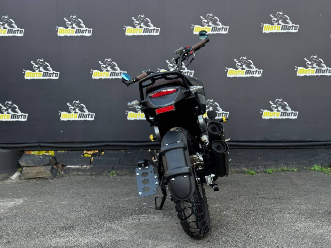Мотоцикл Geon BadDog 250