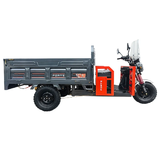 Електротрицикл вантажний FORTE GP-1500-CZ