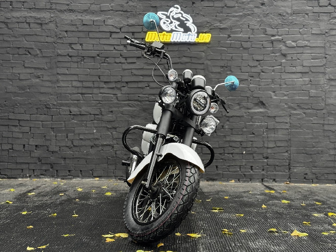 Мотоцикл RIDER RENEGADE 250