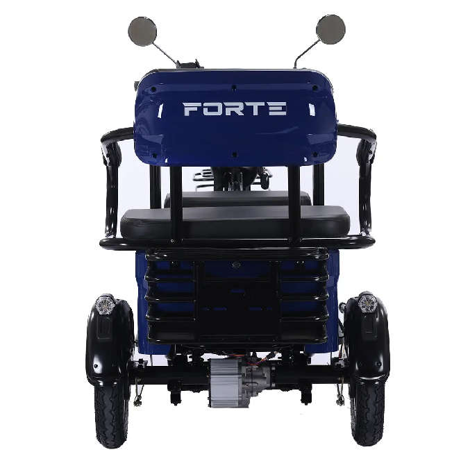 Электротрицикл FORTE TRANSIT-WN1072G