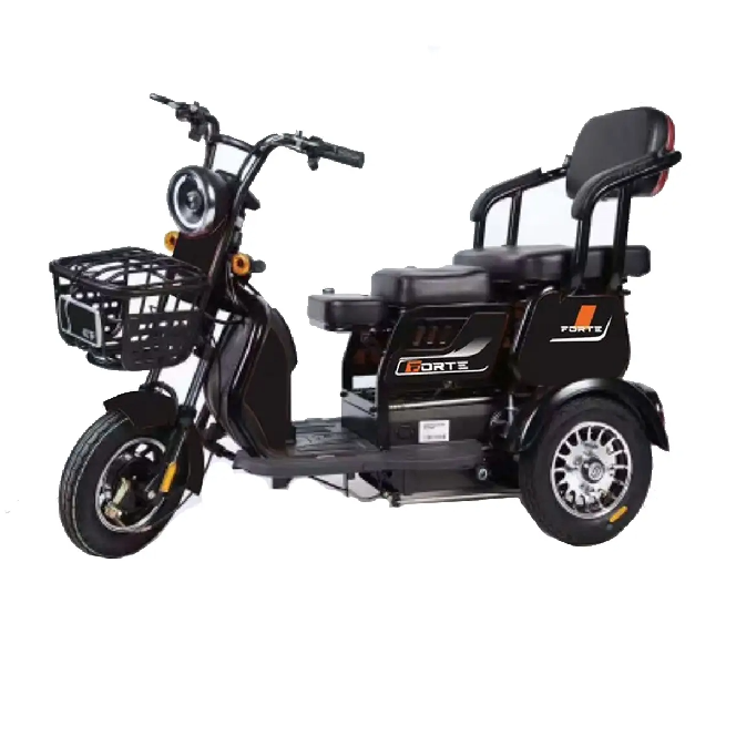 Электротрицикл FORTE FAMILY-WN600
