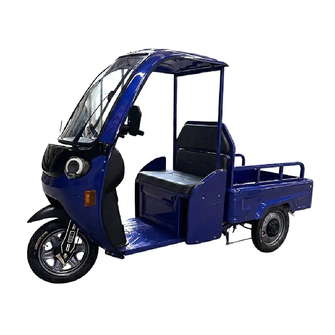 Электротрицикл вантажний FORTE DW1200-1-1