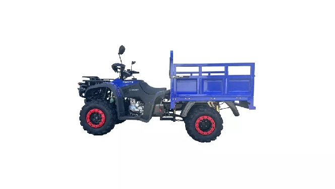 Квадроцикл FORTE ATV 300BS-T