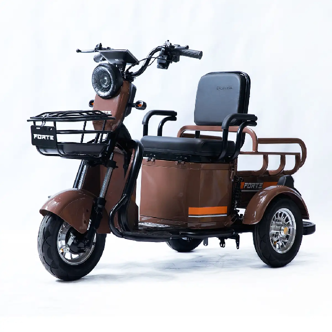 Электротрицикл FORTE CARGO-P650