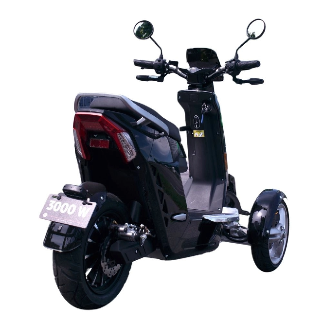 Триколісний електроскутер V28 Vigorous
