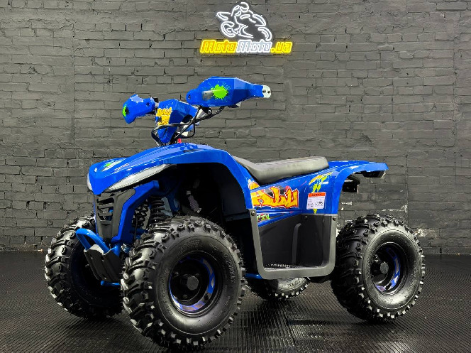 Электроквадроцикл COMMAN TEA750D-01