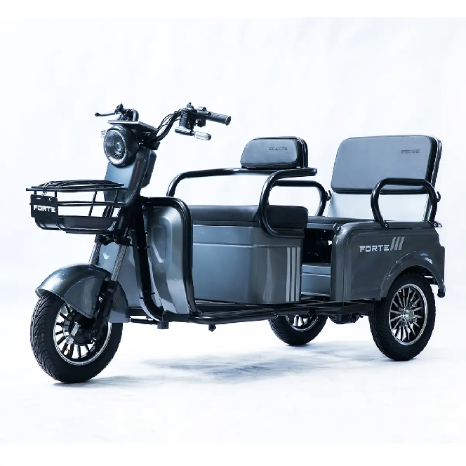 Электротрицикл FORTE CARGO-WN800