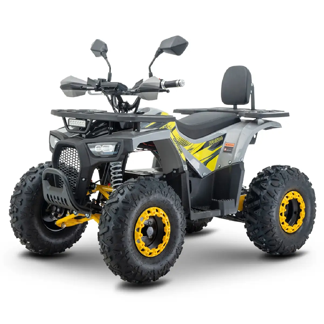 Электроквадроцикл FORTE FFD1500W