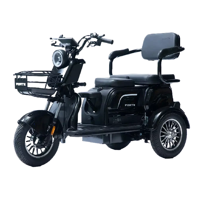 Електротрицикл FORTE FAMILY-WS1000