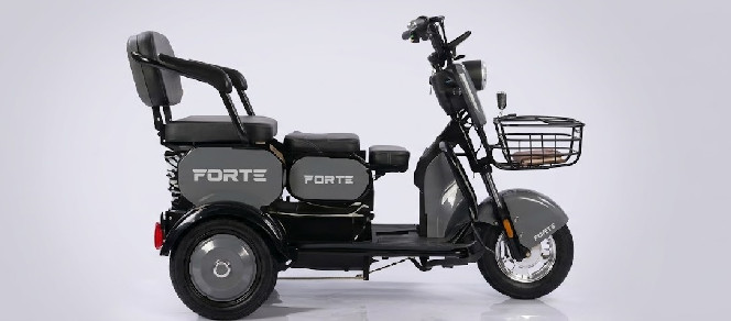 Електротрицикл FORTE FAMILY-WN1060