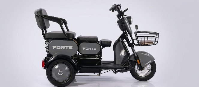 Електротрицикл FORTE FAMILY-WN1060