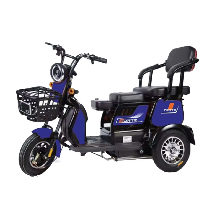 Електротрицикл FORTE FAMILY-WN600