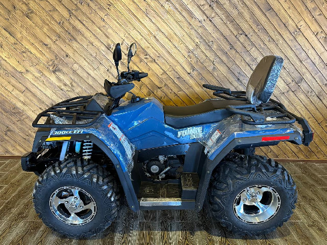 Hisun 300