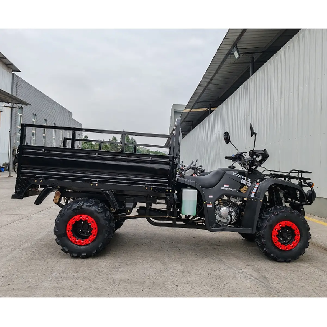 Квадроцикл FORTE ATV 250BS-T