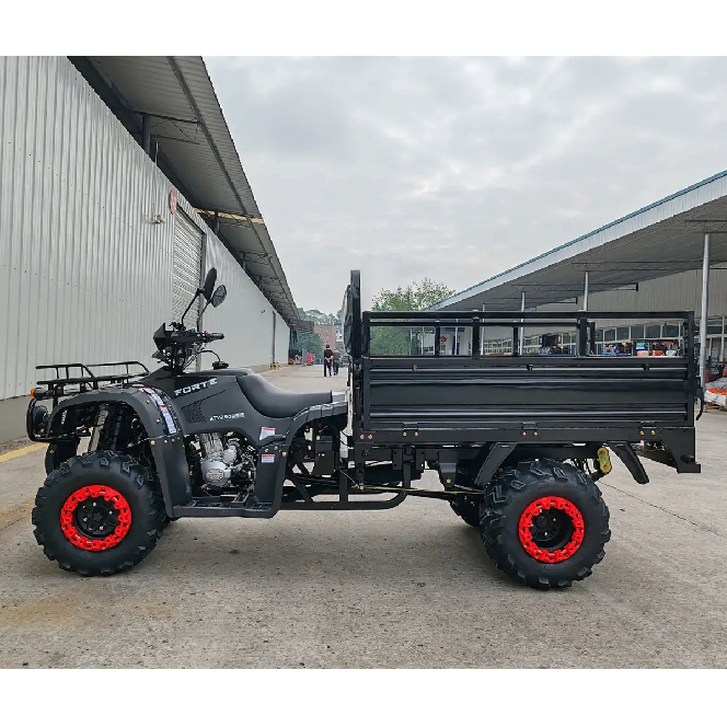 Квадроцикл FORTE ATV 250BS-T