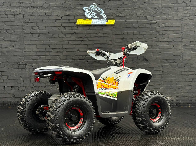 Электроквадроцикл COMMAN TEA750D-01