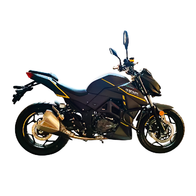 Мотоцикл SPARK SP300R- 41