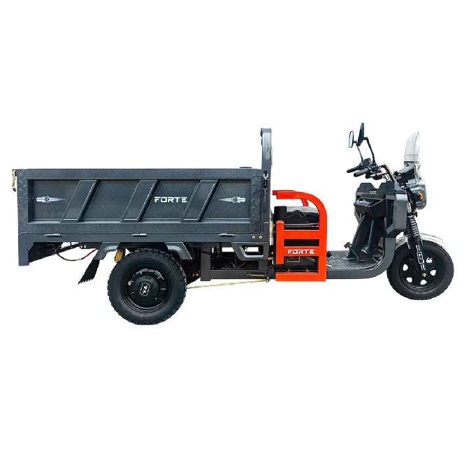 Электротрицикл вантажний FORTE GP-1200-C