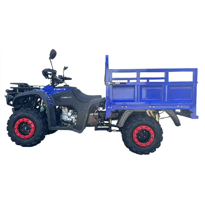 Квадроцикл FORTE ATV 250BS-T