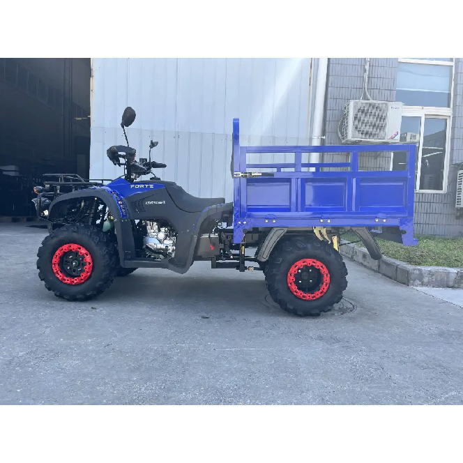 Квадроцикл FORTE ATV 250BS-T
