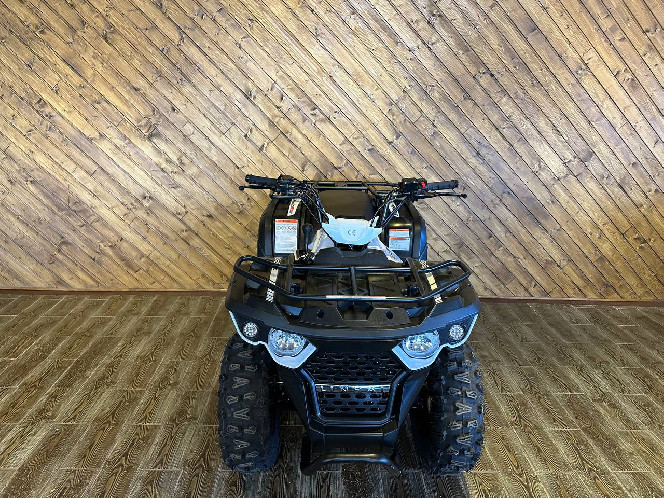 Linhai M150 Eyas