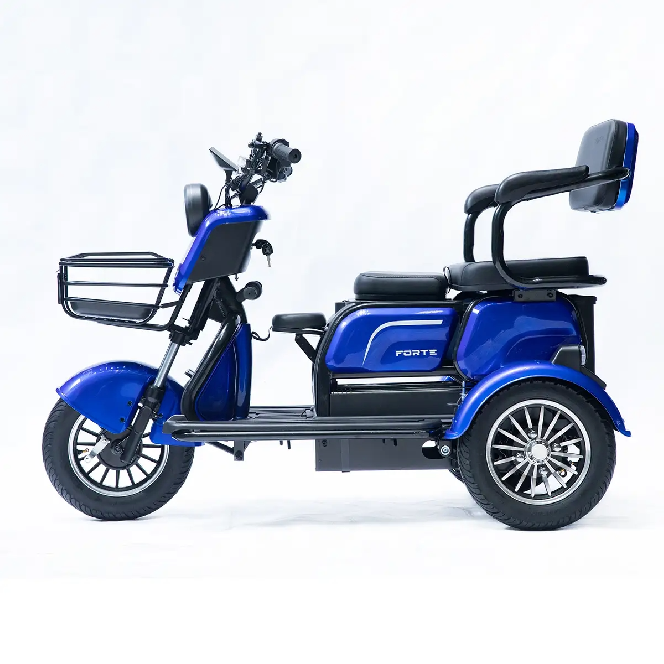 Електротрицикл FORTE FAMILY-P1000