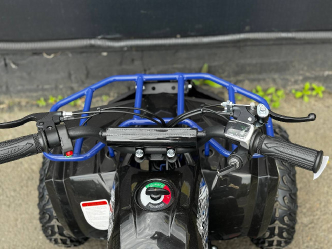 Электроквадроцикл PIONEER 1000W