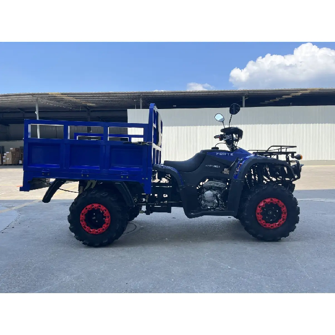 Квадроцикл FORTE ATV 250BS-T