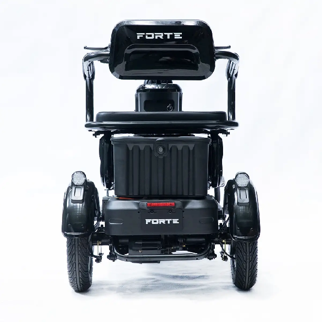 Електротрицикл FORTE FAMILY-P1000