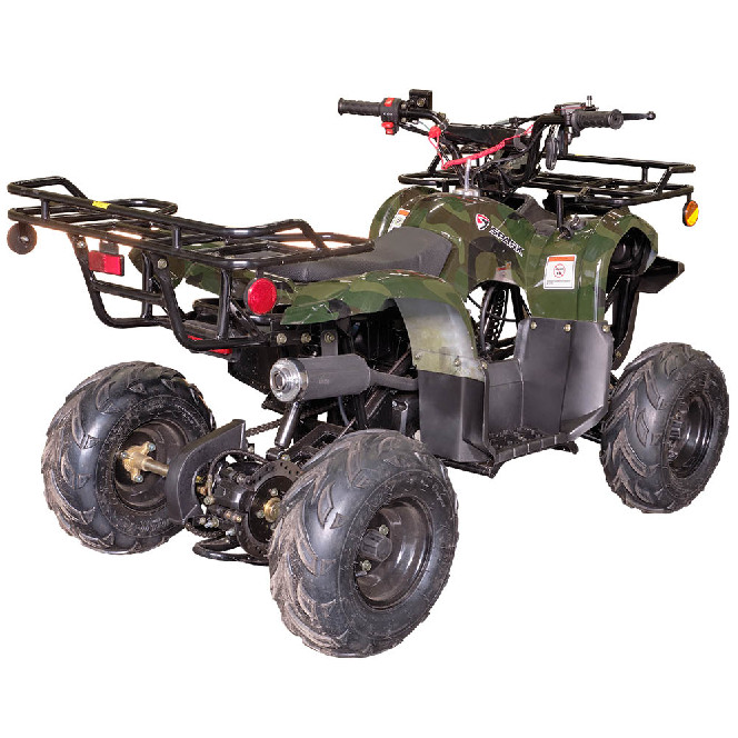 Квадроцикл SPARK SP110-3