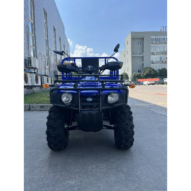 Квадроцикл FORTE ATV 250BS-T