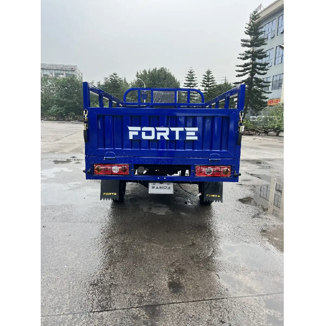 Трицикл вантажний FORTE ATV300ZH-T