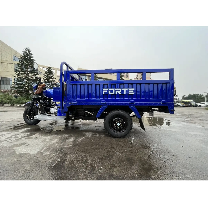Трицикл вантажний FORTE ATV300ZH-T