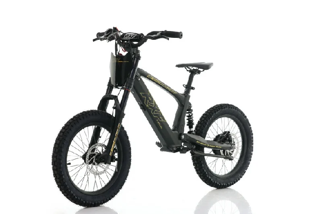 Електромотоцикл APOLLO MOTORS RXF EVO 18
