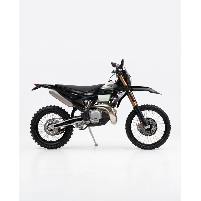 Мотоцикл ESX 2T 300 EFI