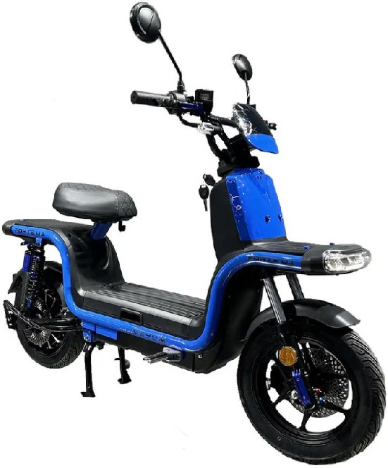 Електровелоскутер FORTE U1 ( 2 термобокси в комплекті )